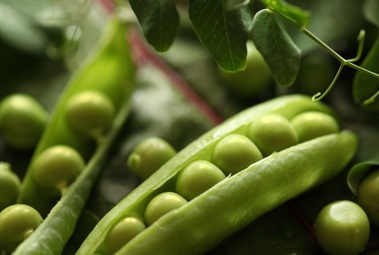 7 Foods to Lower Your Blood Pressure
